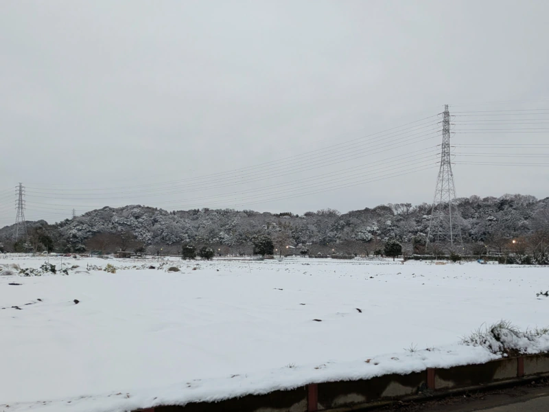 一面雪景色となった藤沢市大庭の畑と引地川親水公園